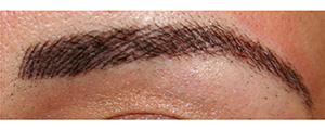 Permanent Cosmetic Design in Boise, ID | Micro Blading Eyebrows